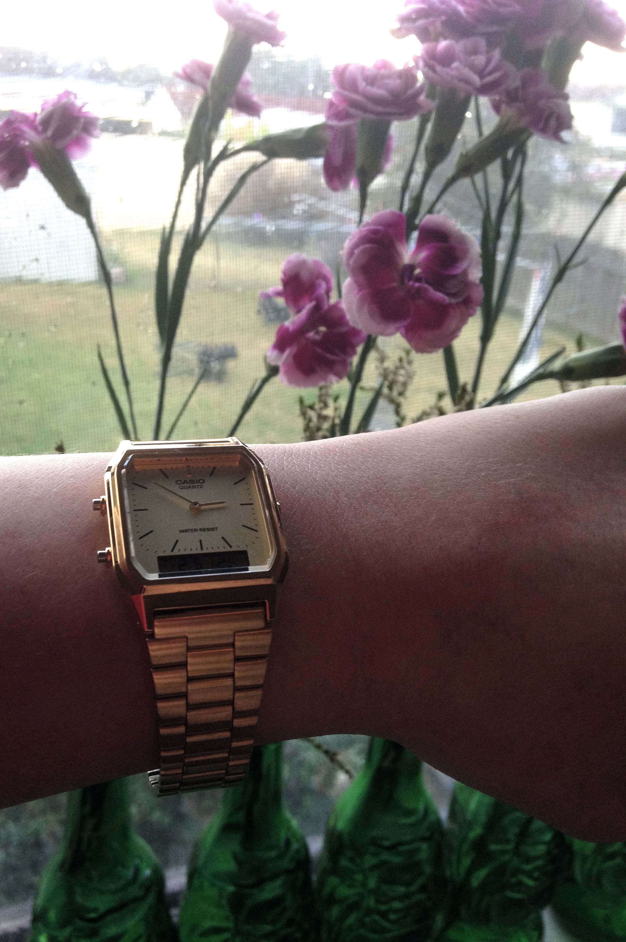 casio aq23