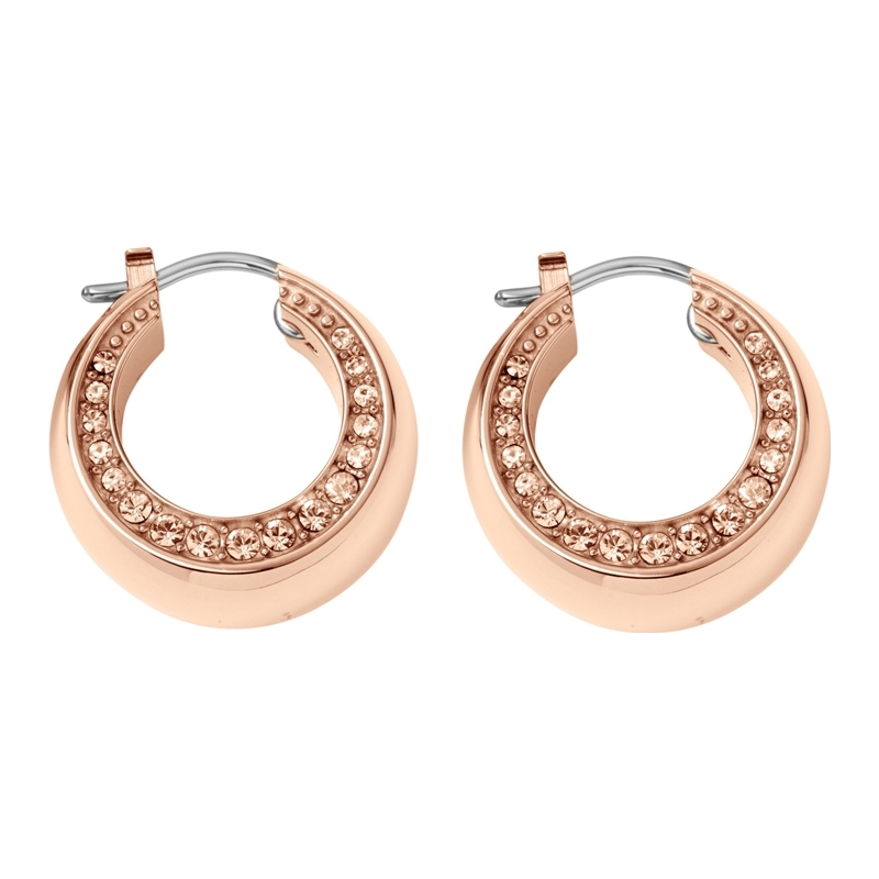 DKNY Ladies Essentials Earrings