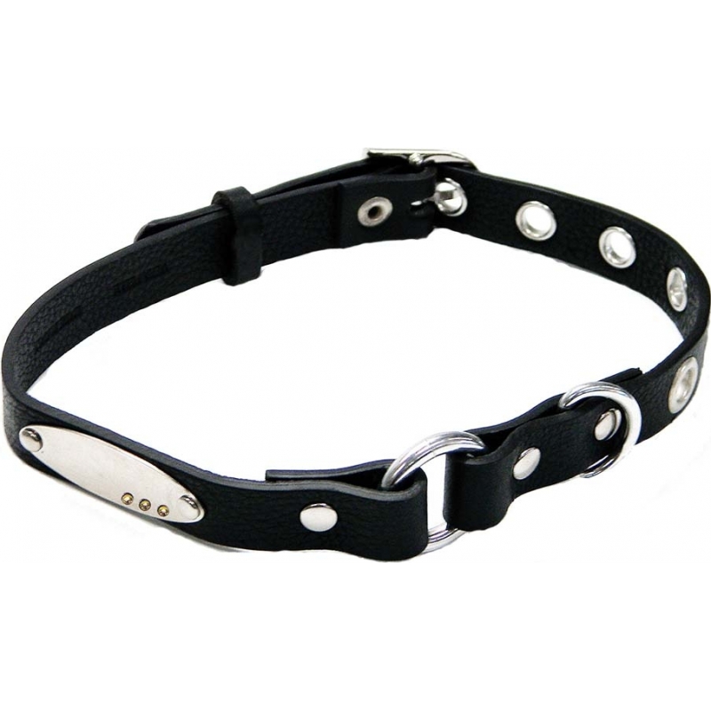 I Puppies Black Leather Dog Collar