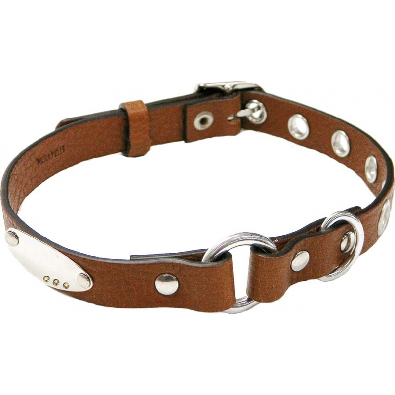 I Puppies Brown Leather Dog Collar