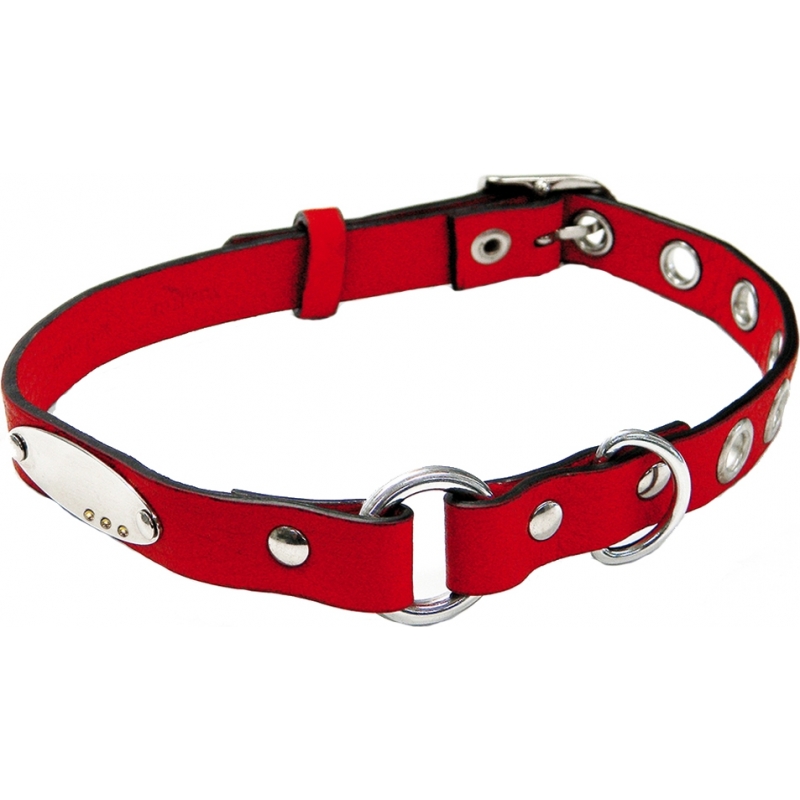 I Puppies Red Leather Dog Collar